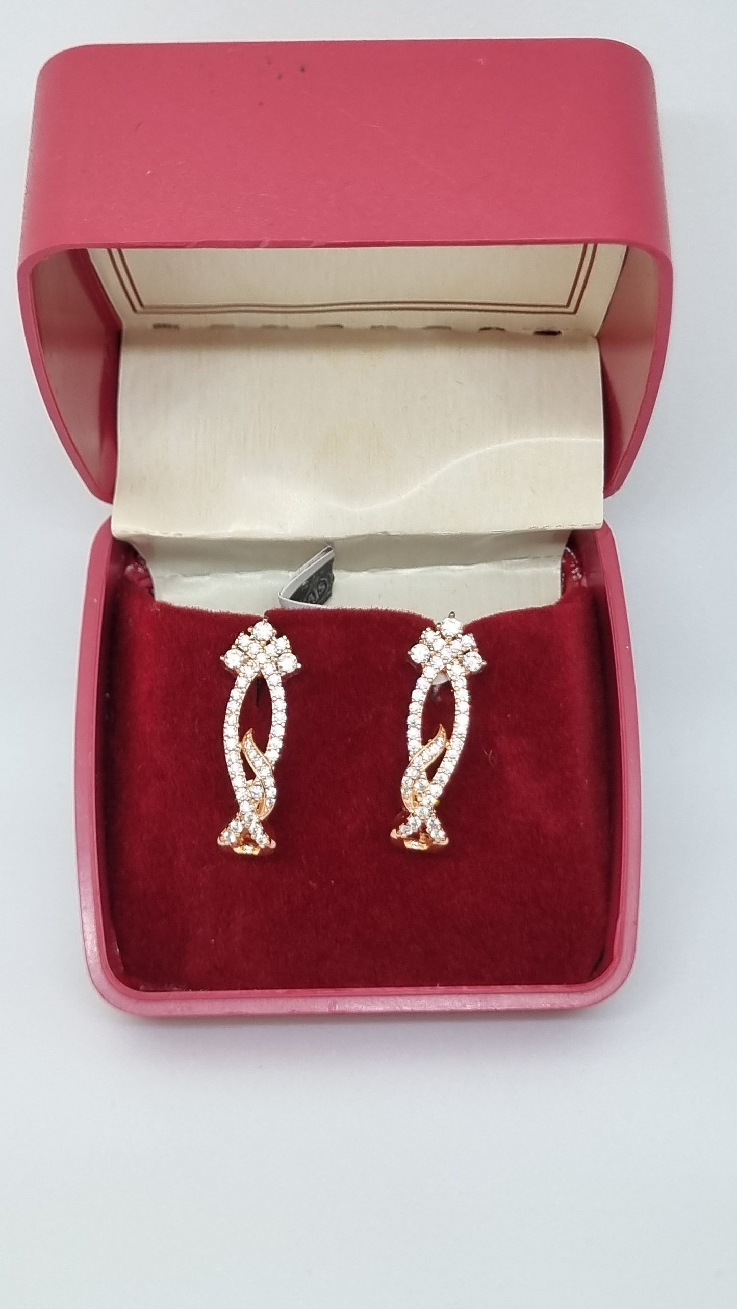 92.5 Sterling Silver Drop Earrings with Zirconia Accents